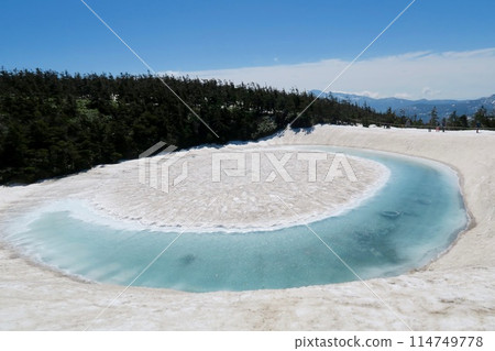 龍眼八幡平2024.5.14 114749778