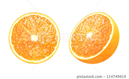 Hand-drawn illustration of halved oranges and sliced oranges Fresh fruit material Hand-drawn illustration of halved oranges and sliced oranges Fresh fruit material 114749919