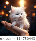 小貓在手邊 114750443