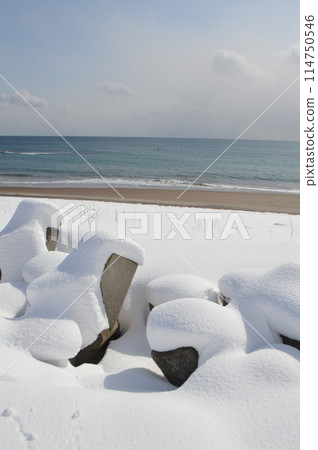 Winter beach (25-4 Hinodecho, Hakodate, Hokkaido) Winter beach (25-4 Hinodecho, Hakodate, Hokkaido) 114750546