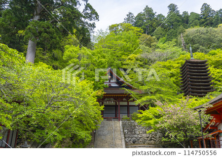 綠季談山神社禦殿、十三層寶塔、神社參拜場所 114750556