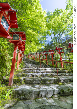 Kifune Shrine in the midst of fresh greenery: Vermilion lanterns and stone steps 114750558