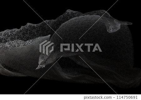White lace fabric flying in curve shape, Piece of textile white lace fabric throw fall in air. Black background isolated, dark shading environment White lace fabric flying in curve shape, Piece of textile white lace fabric throw fall in air. Black background isolated, dark shading environment 114750691