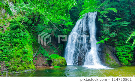 阿貢瀑布 (Agon Falls) 阿貢瀑布 (Agon Falls) 114750861