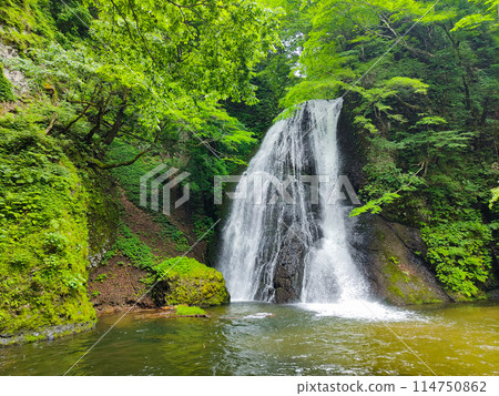 阿貢瀑布 (Agon Falls) 阿貢瀑布 (Agon Falls) 114750862