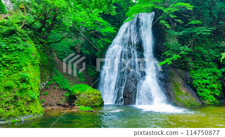阿貢瀑布 (Agon Falls) 114750877