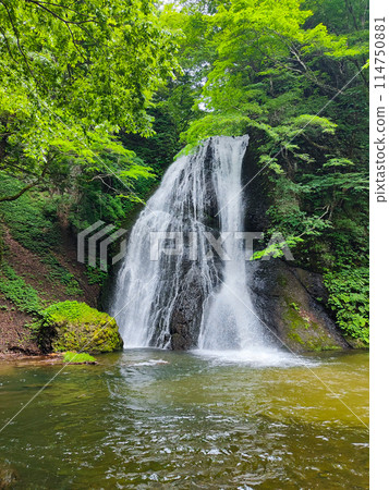Garon Falls (Garon Falls) 114750881