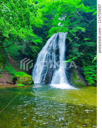 Garon Falls (Garon Falls) 114750887