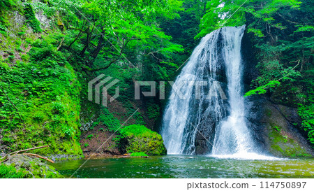 Garon Falls (Garon Falls) Garon Falls (Garon Falls) 114750897