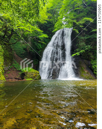 Garon Falls (Garon Falls) 114750905