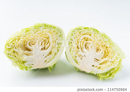 Cross section of a half-cut cabbage 114750984