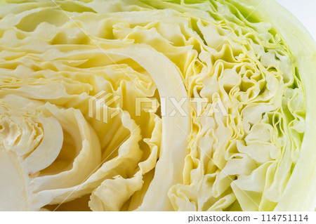 Cabbage cross section close-up background Cabbage cross section close-up background 114751114