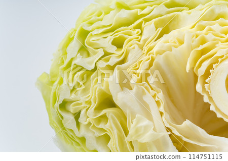 Cabbage cross section close-up background Cabbage cross section close-up background 114751115