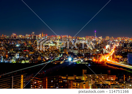 Tokyo night view from Kawasaki 114751166