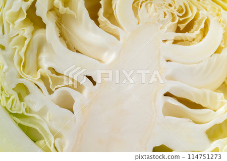 Close-up background of a cross section of a cabbage core 114751273