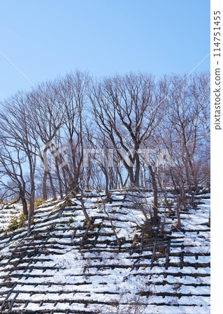 Preventing landslides along roads in winter 114751455