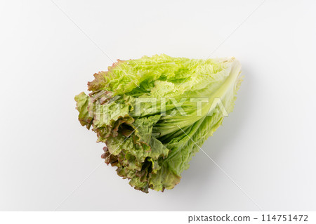 陽光生菜 114751472