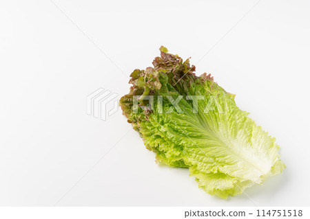 Sunny lettuce leaves Sunny lettuce leaves 114751518