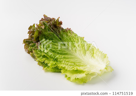 Sunny lettuce leaves Sunny lettuce leaves 114751519