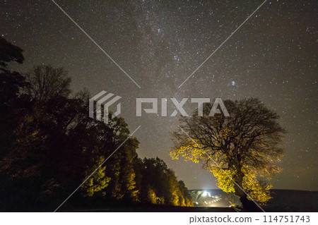Dark trees along road under black sky with myriads of white stars and bright lights in distance. Dark trees along road under black sky with myriads of white stars and bright lights in distance. 114751743