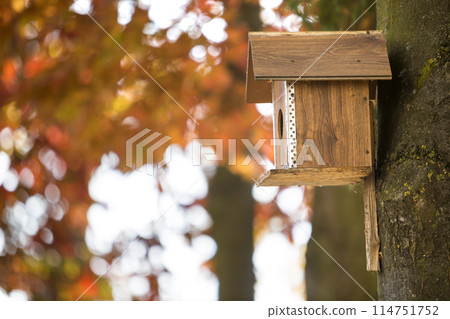 Wooden brown new bird house or nesting box attached to tree trunk in autumn park or forest on blurred sunny golden yellow foliage bokeh background. Wildlife protection, do it yourself concept. Wooden brown new bird house or nesting box attached to tree trunk in autumn park or forest on blurred sunny golden yellow foliage bokeh background. Wildlife protection, do it yourself concept. 114751752