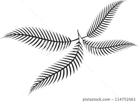 The fern leaf vector image for spa or herb decor concept 114752061