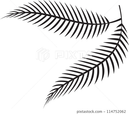 The fern leaf vector image for spa or herb decor concept 114752062
