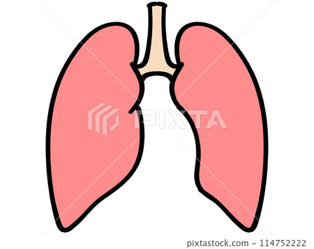 簡單的肺部插畫素材 114752222