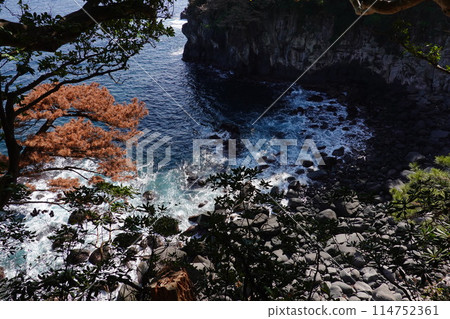 Jogasaki coast picnic course Jogasaki coast picnic course 114752361