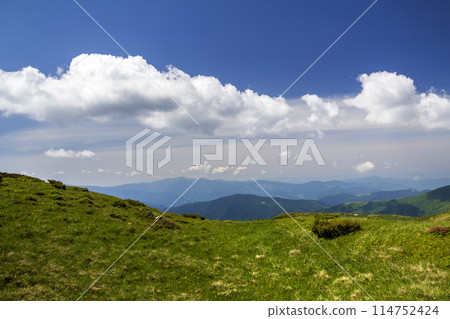 Green mountains panorama under blue sky on bright sunny day. Tourism and traveling concept, copy space background. 114752424