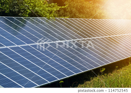 Close-up surface of lit by sun modern saving efficient stand -alone blue shiny solar photo voltaic panels system producing renewable clean energy on green grass and trees foliage background. 114752545