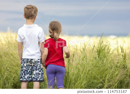 Little boy and little girl standing holding hands looking on horizont 114753187