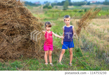 Little boy and girl on field near haystack 114753230