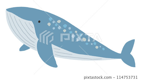 An illustration of a whale An illustration of a whale 114753731