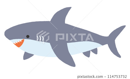 Shark illustration 114753732