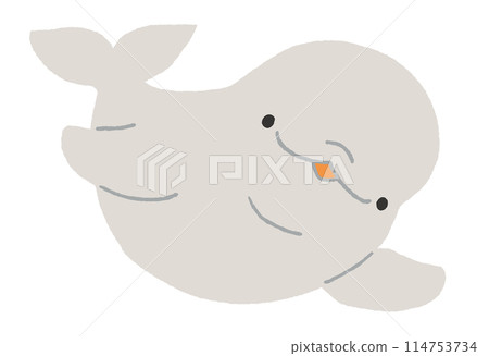白海豚(白鯨)的插圖 白海豚(白鯨)的插圖 114753734