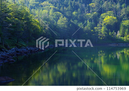 The Twin Ponds and Oike Pond in the Northern Yatsugatake Mountains in Summer 114753969