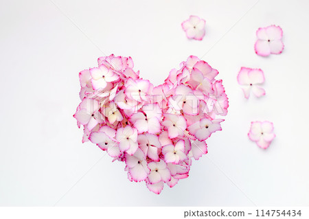 Heart shaped hydrangea petals, heart shaped hydrangea petals, pink hydrangea Heart shaped hydrangea petals, heart shaped hydrangea petals, pink hydrangea 114754434