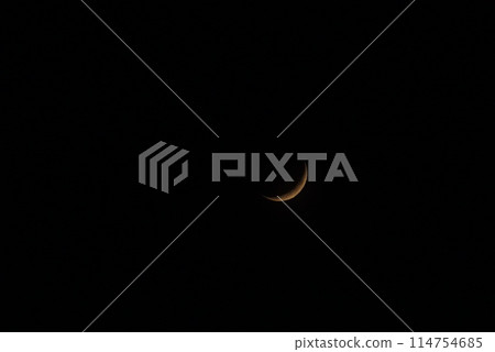 Missing month 114754685