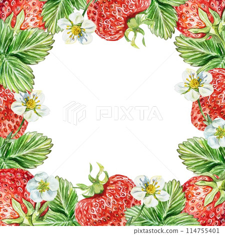 Strawberry frame. Berries, leaves, flowers. Watercolor illustration on white background. Cards, invitations, juice and jam labels, cosmetics, menus. Strawberry frame. Berries, leaves, flowers. Watercolor illustration on white background. Cards, invitations, juice and jam labels, cosmetics, menus. 114755401