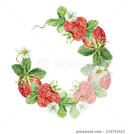 Strawberry composition semicircle. Berries, leaves, flowers. Watercolor illustration on white background. Juice and jam labels, packaging, cosmetics. 114755425