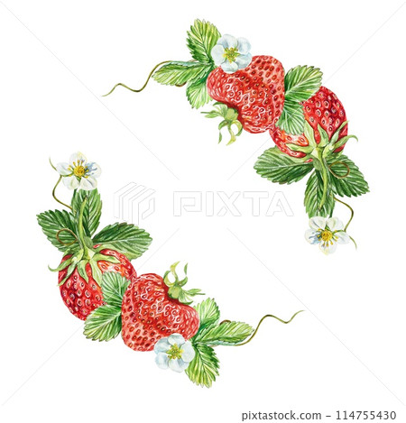 Strawberry composition. Berries, leaves and flowers. Watercolor illustration isolated on white background. Juice and jam labels, packaging, cosmetics. Strawberry composition. Berries, leaves and flowers. Watercolor illustration isolated on white background. Juice and jam labels, packaging, cosmetics. 114755430