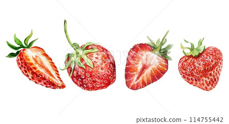 Strawberry set. Berries, whole and halves. Watercolor illustration isolated on white background. Cards, labels, food packaging, cosmetic products. 114755442