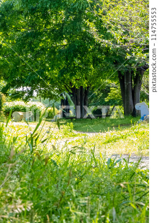 A park with lots of trees and playground equipment A park with lots of trees and playground equipment 114755553