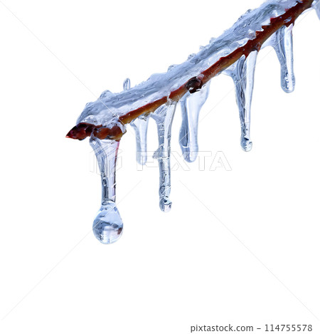 blue ice cream splash isolated on white blue ice cream splash isolated on white 114755578