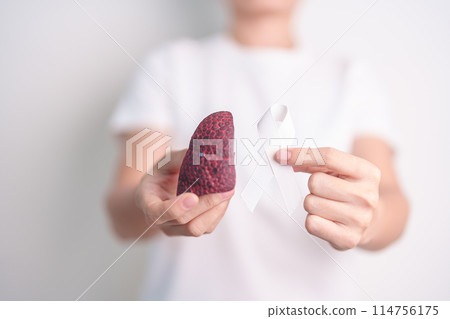 November Lung Cancer Awareness month. Doctor with Smoker Lung anatomy model and White ribbon in hospital. Healthcare and World Cancer day concept 114756175