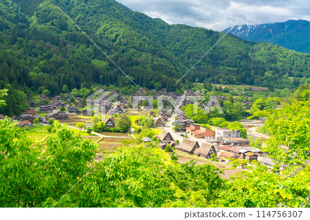 Shirakawa-go, a World Heritage Site in early summer 114756307