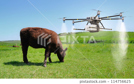 Agriculture technology with drone fly above and spray water Agriculture technology with drone fly above and spray water 114756625