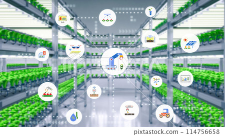 indoor farm system raised plants on shelves growth with led light indoor farm system raised plants on shelves growth with led light 114756658