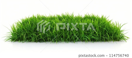 Vibrant green grass field on a pristine white background. Vibrant green grass field on a pristine white background. 114756740